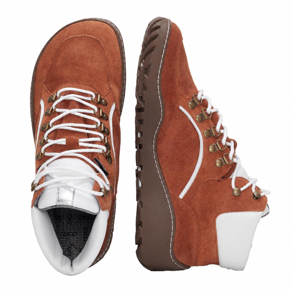 TERRAQ Cognac
